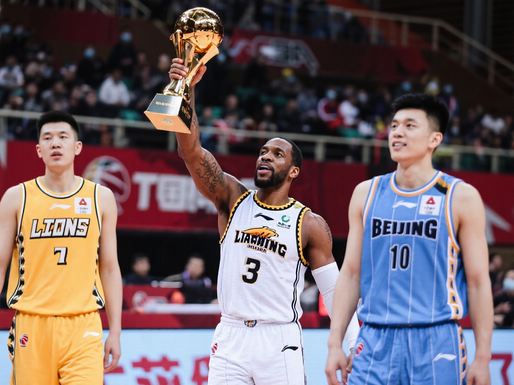 的最佳诠释 的最佳诠释